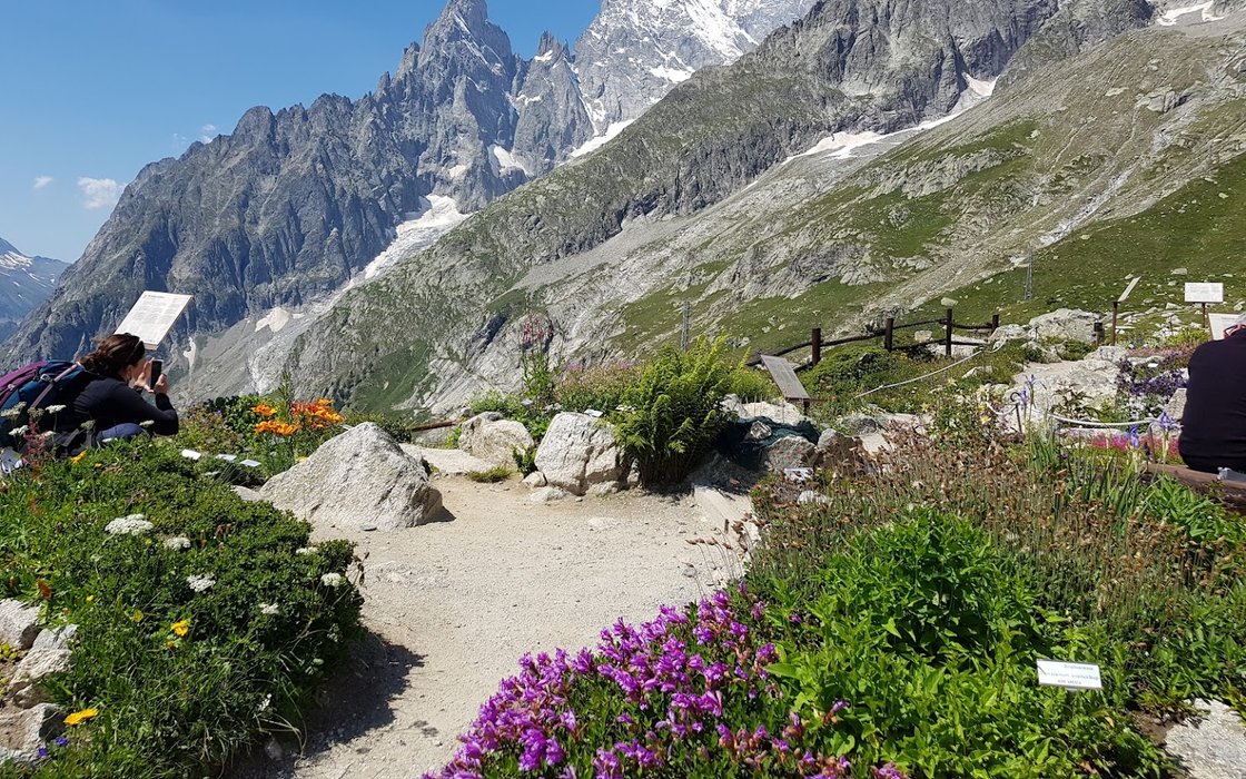 Giardino Botanico Alpino Saussurea - recensioni, foto, numero di telefono e indirizzo - Luoghi di interesse culturale a Valle d'Aosta - Nicelocal.it